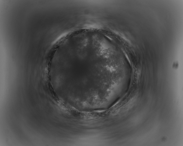 X0000100751254200807031328