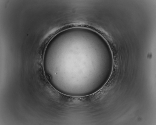 X0000100751255200807031328