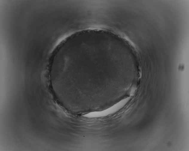 X0000100751256200807031328