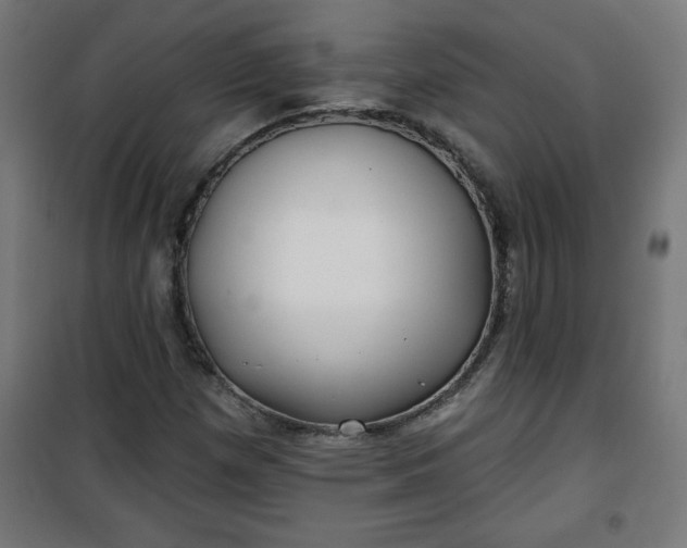 X0000100751257200807031328