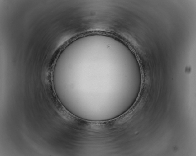 X0000100751258200807031328