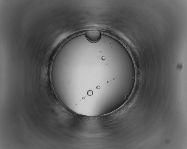 X0000100751259200807031328