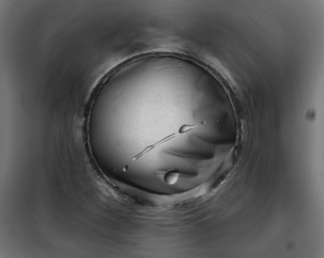 X0000100751260200807031328