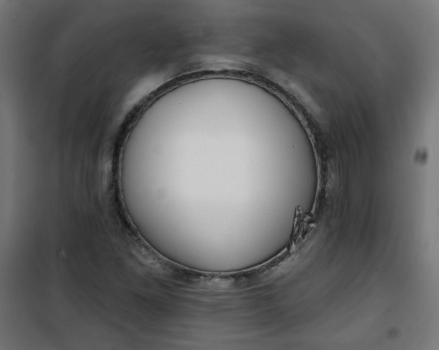 X0000100751261200807031328