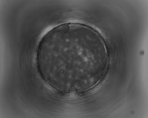 X0000100751263200807031327