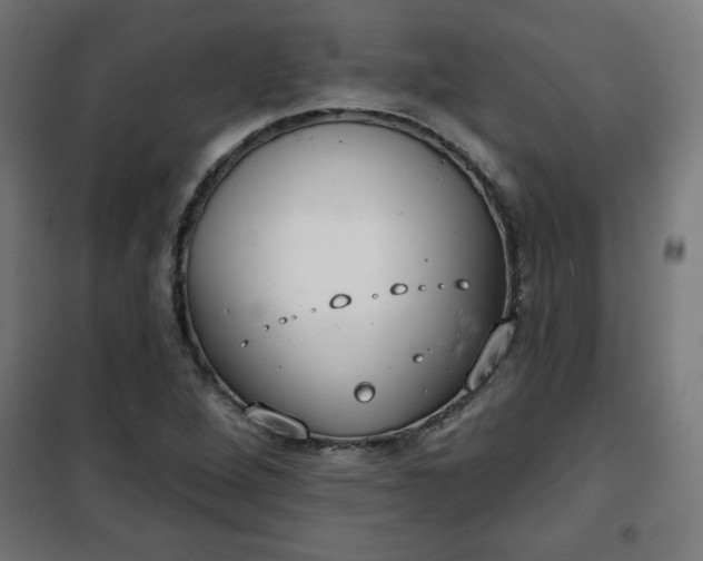 X0000100751264200807031327