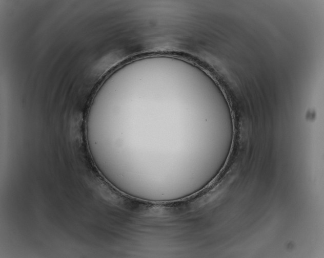 X0000100751265200807031327