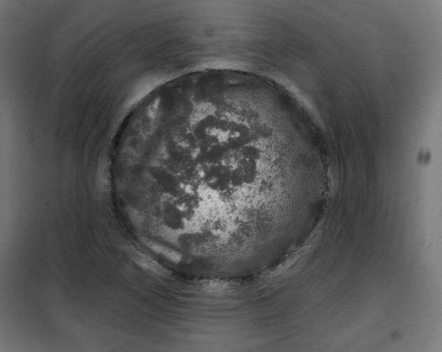 X0000100751266200807031327