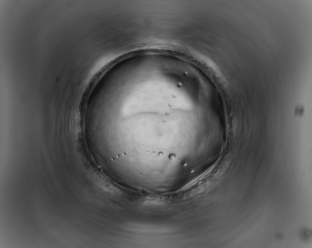 X0000100751267200807031327