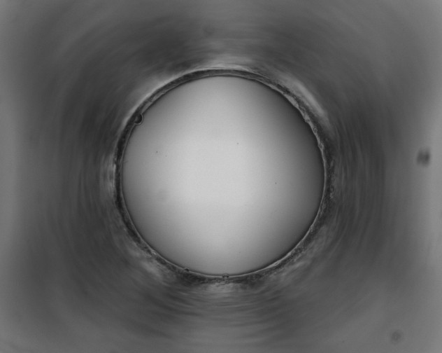 X0000100751268200807031327