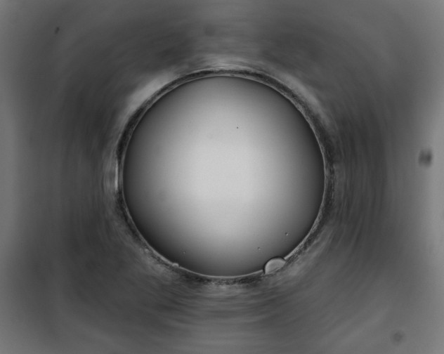 X0000100751269200807031327