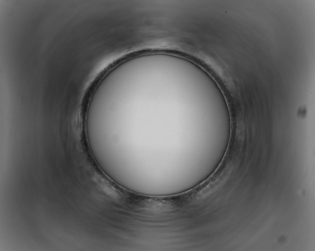 X0000100751270200807031327