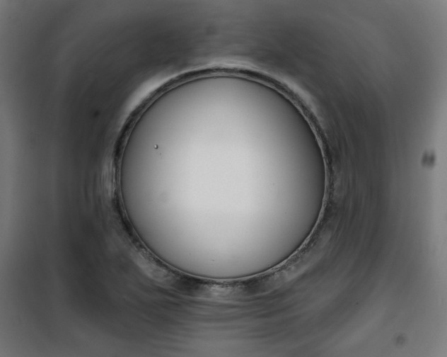 X0000100751271200807031327