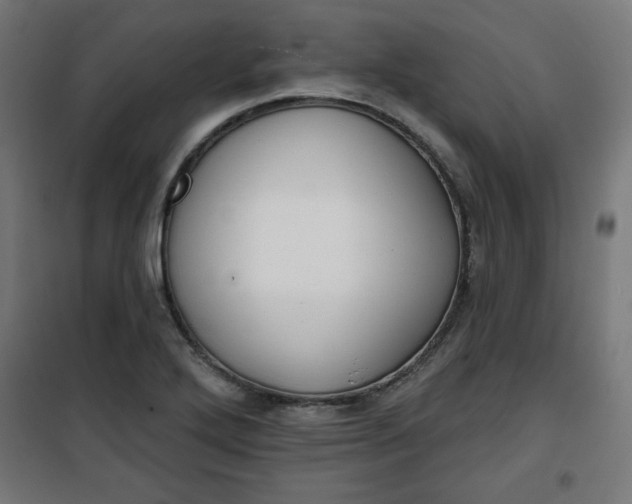 X0000100751272200807031327