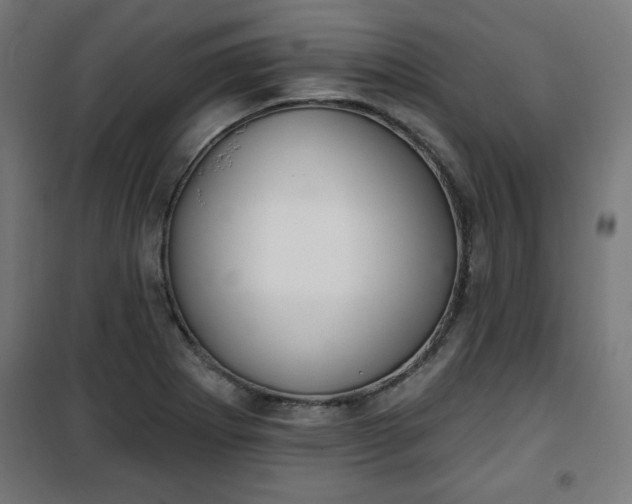 X0000100751273200807031327