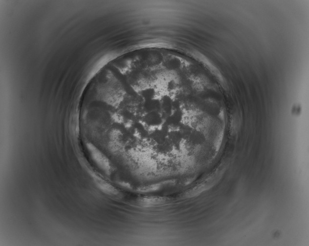 X0000100751274200807031327