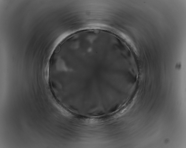 X0000100751275200807031327