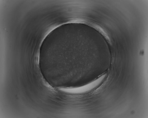 X0000100751276200807031327