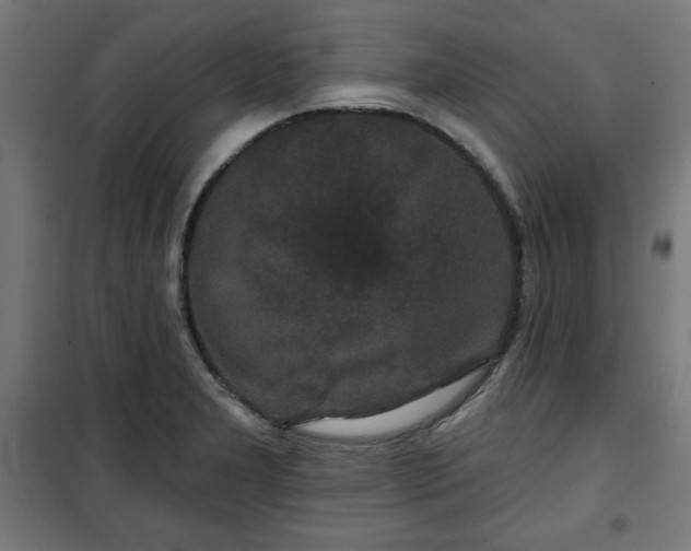 X0000100751277200807031327