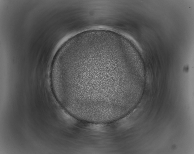 X0000100751278200807031327