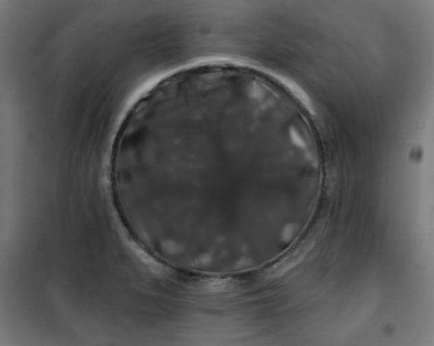 X0000100751279200807031327