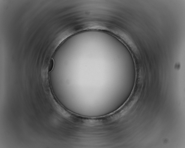 X0000100751281200807031327