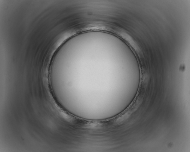 X0000100751282200807031327