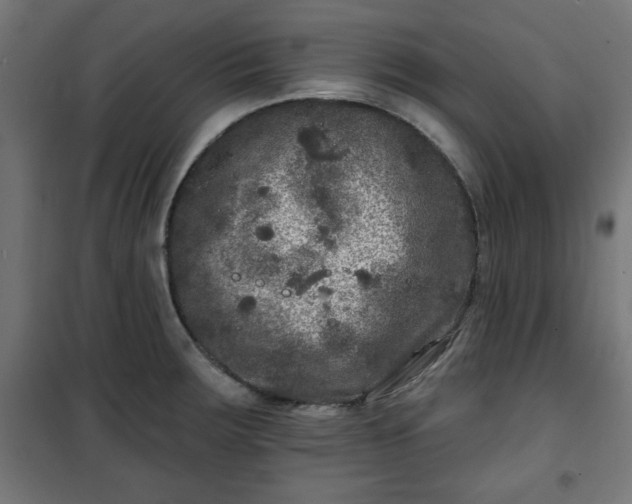 X0000100751283200807031327