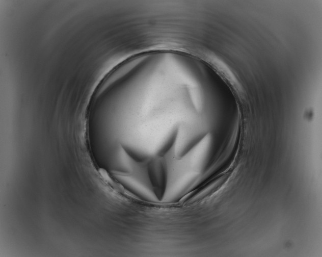 X0000100751284200807031327