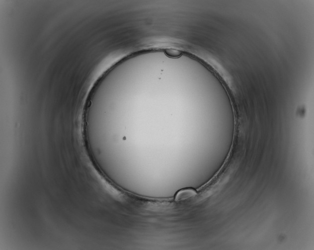 X0000100751285200807031327