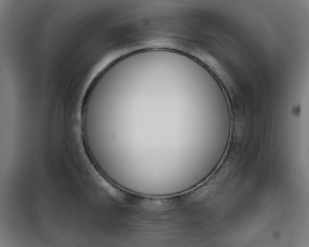 X0000100751286200807031327