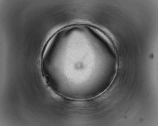 X0000100751287200807031327