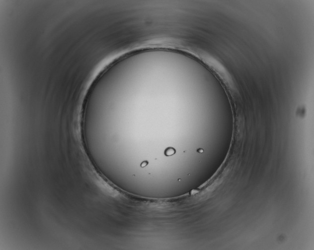 X0000100751288200807031327