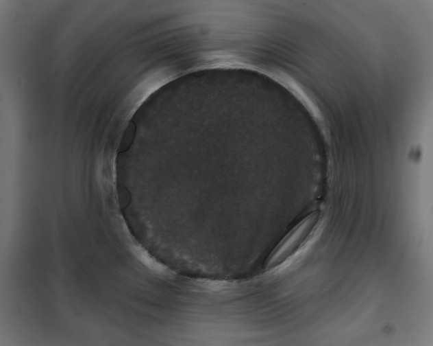 X0000100751289200807031327