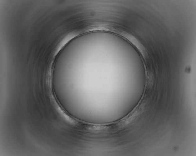 X0000100751290200807031327