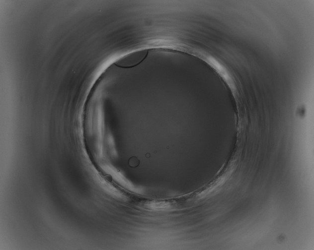 X0000100751291200807031327