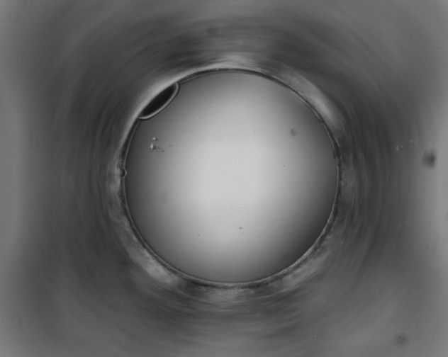 X0000100751292200807031327