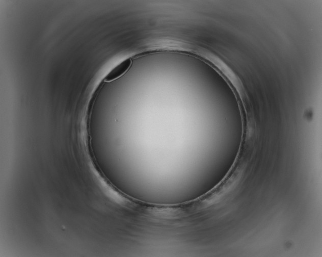 X0000100751293200807031327