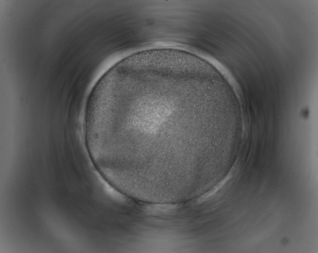 X0000100751294200807031327