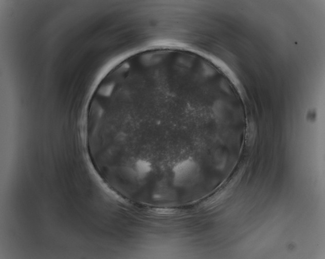 X0000100751295200807031327