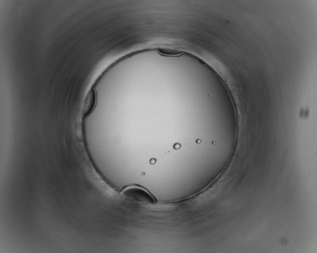 X0000100751296200807031327