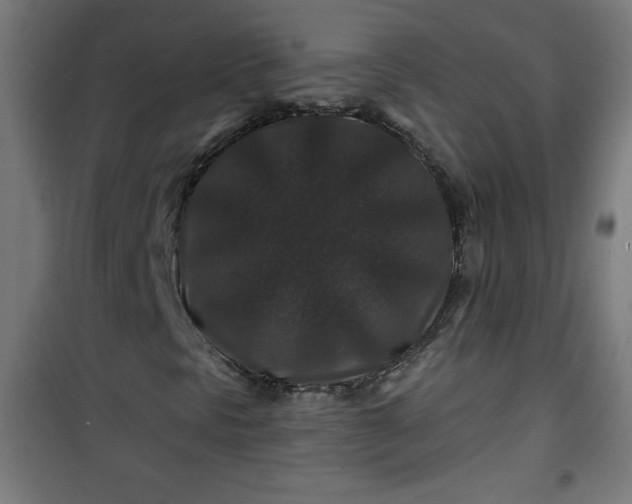 X0000100751297200807031326