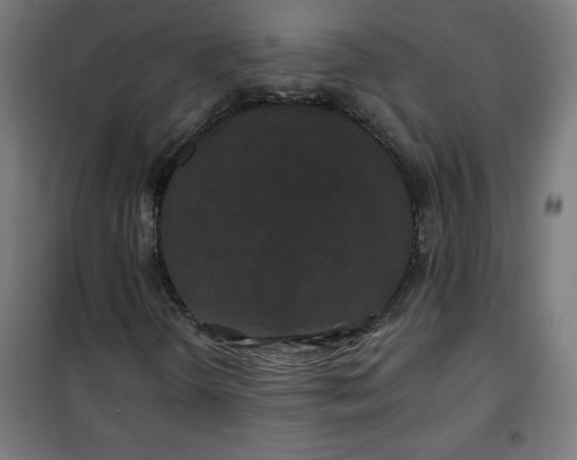 X0000100751298200807031326