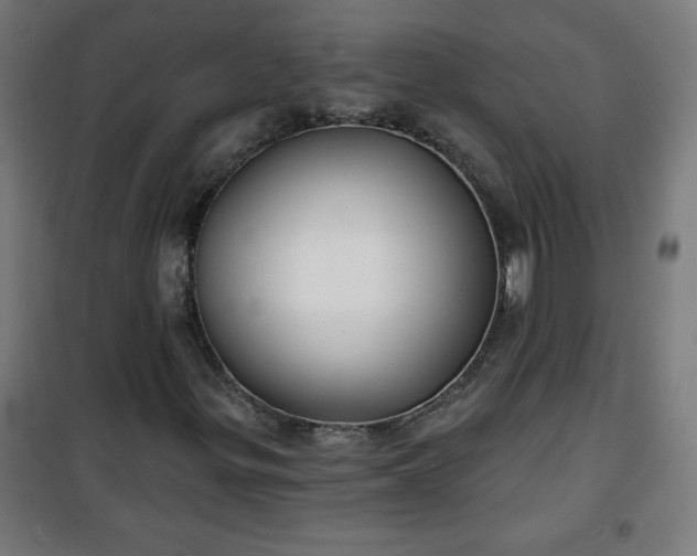 X0000100751299200807031326