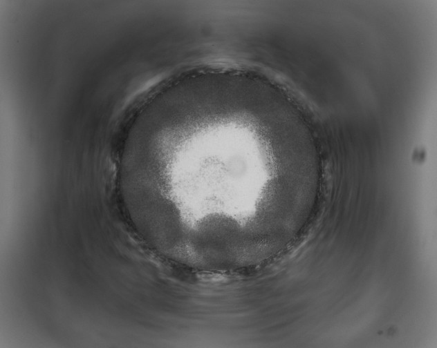 X0000100751302200807031326