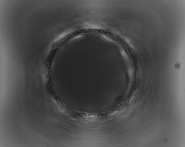 X0000100751303200807031326