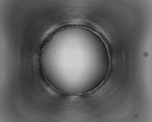 X0000100751304200807031326