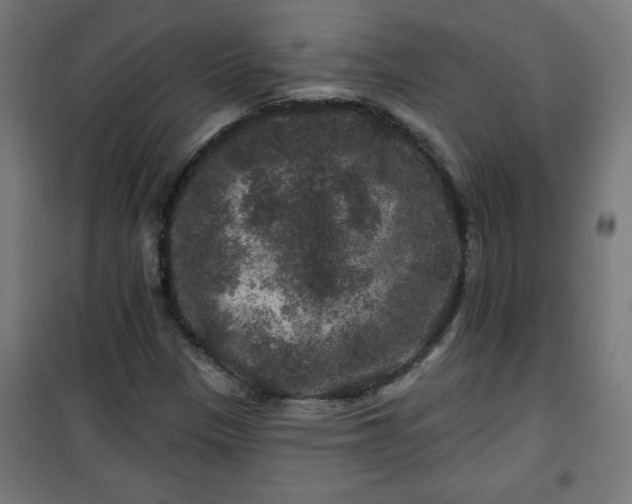 X0000100751305200807031326