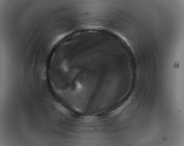 X0000100751306200807031326