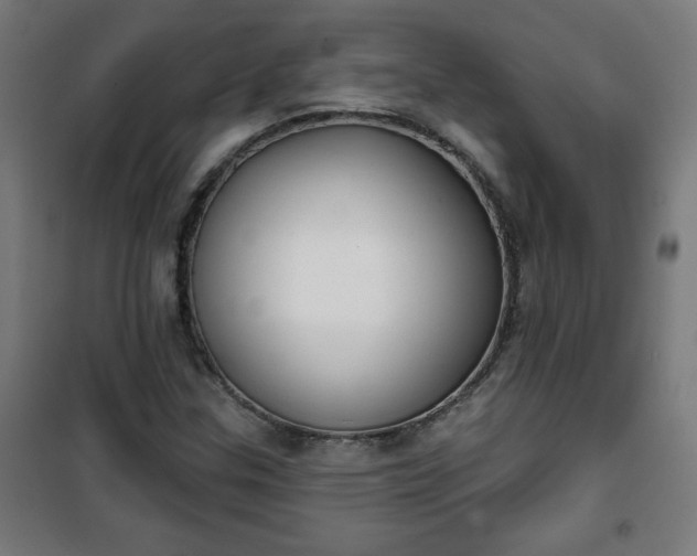 X0000100751307200807031326